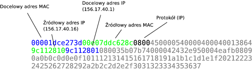 
        Przykładowy pakiet ICMP Echo Request zakodowany zgodnie
     ...
