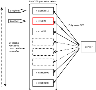 
      Schemat działania skryptu generującego ruch sieciowy.
    